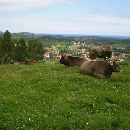 Casa De Aldea Ruiloba Maison d'hôtes Camango